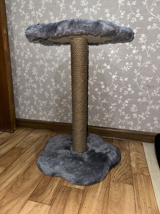 Когтеточка для котят