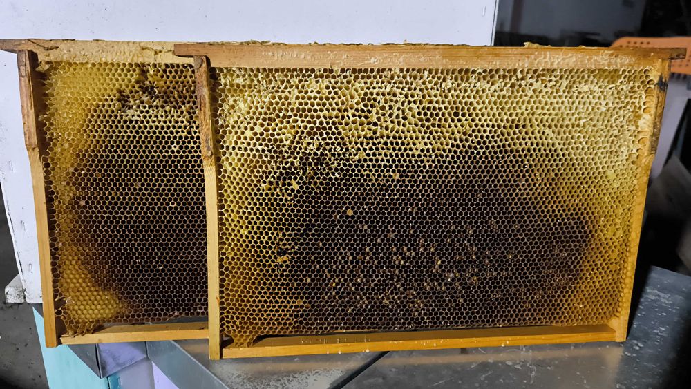 Рамки сушь для пчел