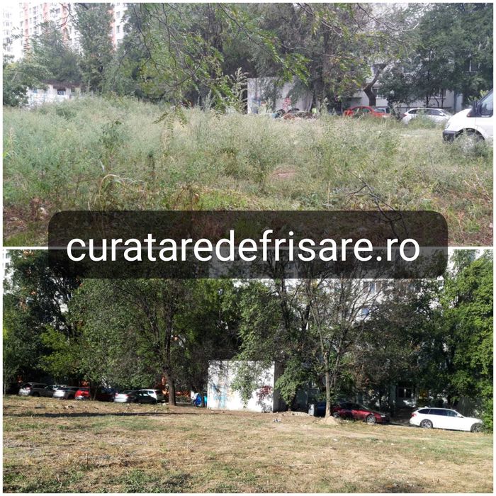 Curatare teren Defrisare Tocare vegetatie Igienizare Salubrizare