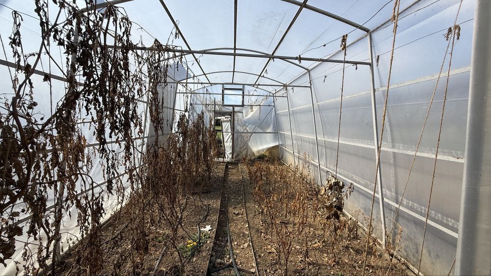 Solar Grădină 3x6m