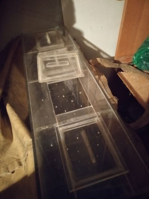 Подам разноски для рыбок