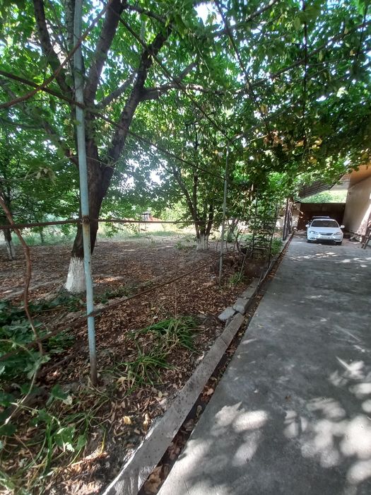 Seleksiya institutining ro'parasidagi mahallada 26-sotok yer sotiladi