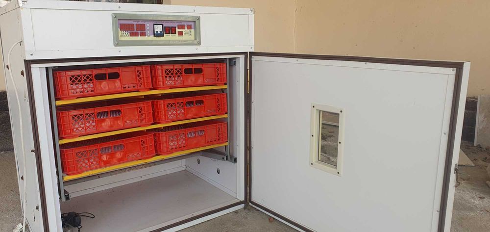 Inkubatr 825 holati zor