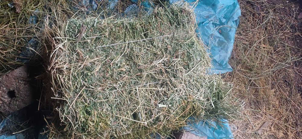 Beda press sotiladi 45 000 dan optimga kelishamiz