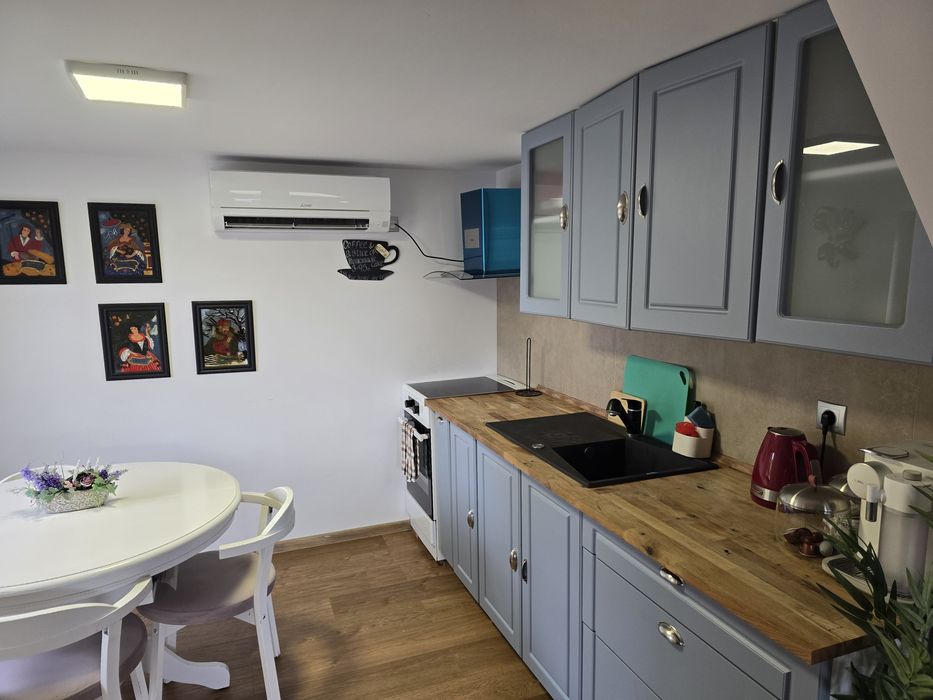 Cabana pentru cupluri, cu ciubar Jacuzzi la  Muntele Rece