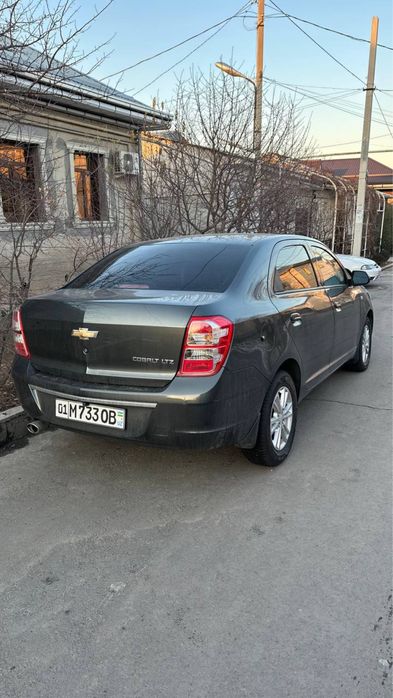 Cobalt ideal xolatta