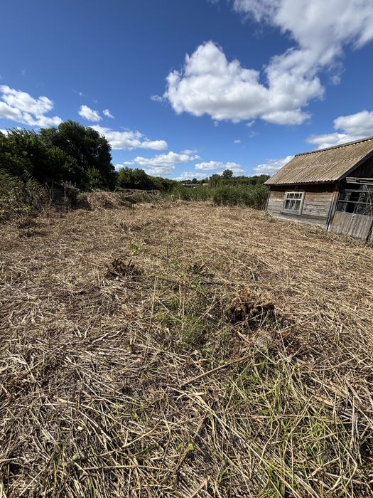 Продам участок. Пестрое.