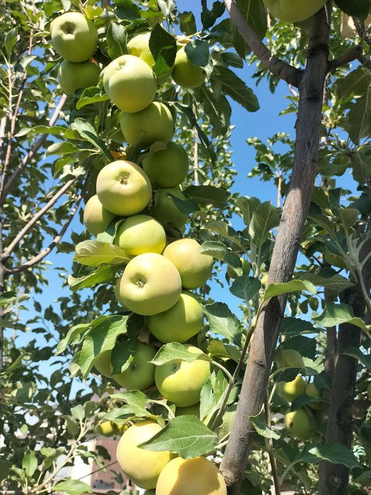 Продается  очень уютный дом!