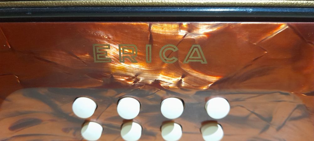Acordeon  armonica  Hohner Erica