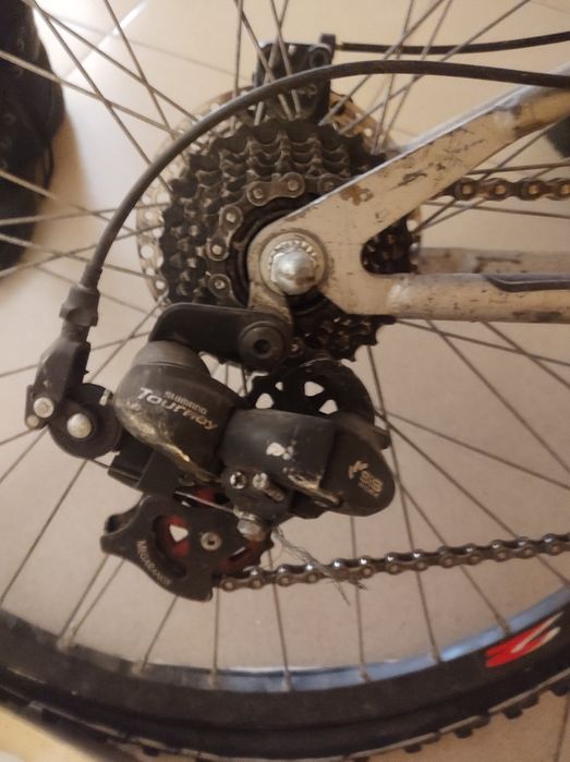 Миоки втора рака