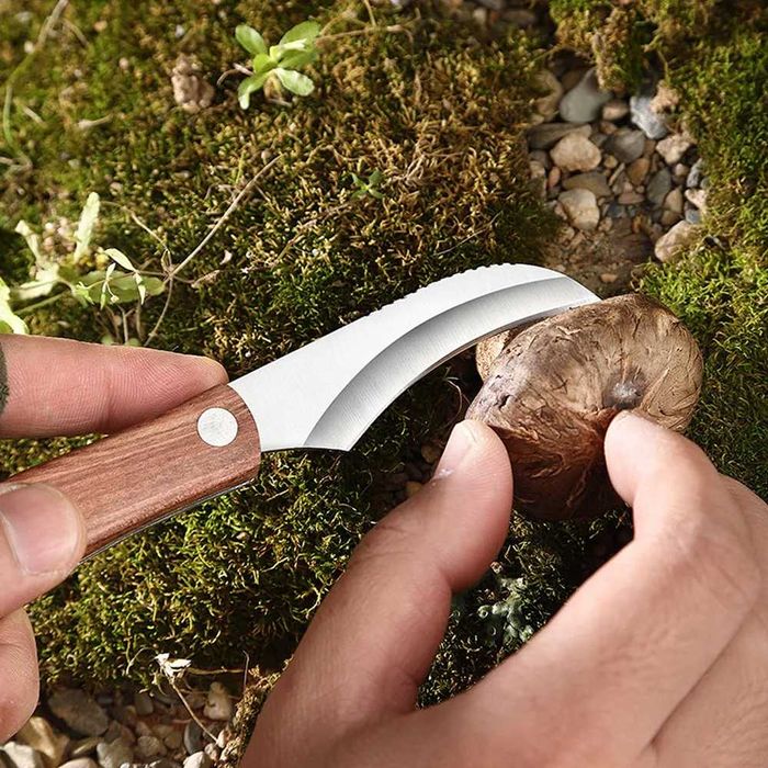 Нож за гъби с ЧЕТКА Гъбарски нож Два размера ! Сгъваем нож !