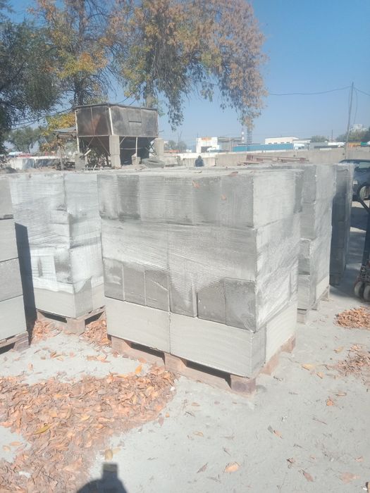 Газоблок 20*30*60