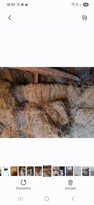 Vând 100 baloti de fan.