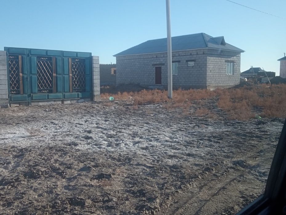 Времянка гигантта