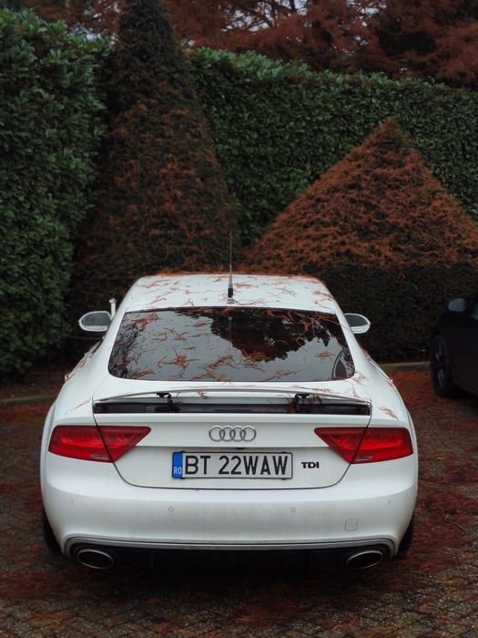 Audi A7 3.0 TDI 245 CP quattro automată