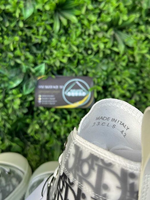 DIOR B23 White and Black