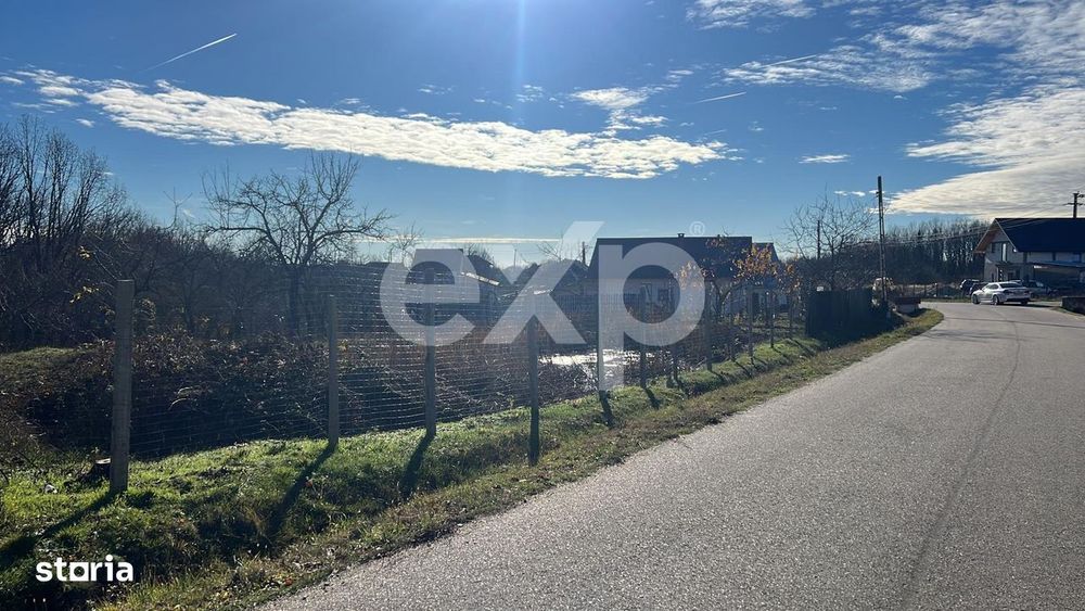 Refugiu la tara: casa cu 2 camere si teren de aproape 4.000 mp, Cocu