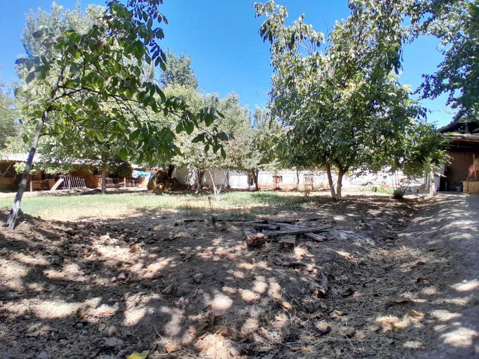 10 Сотикли Ховли сотилади