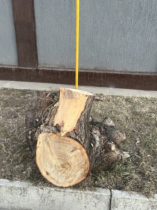 Пень по договорной цене