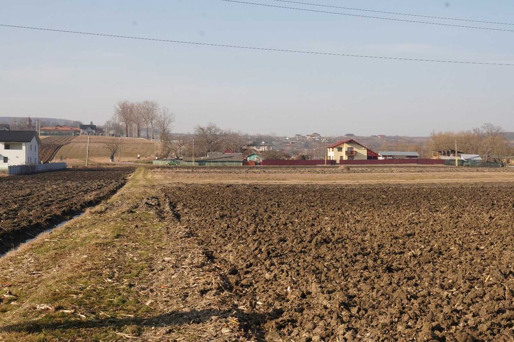 Vand teren extravilan 1800m, Ipotești, Botoșani