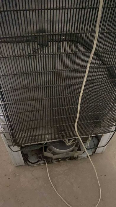 Холодильник Бирюса не работает