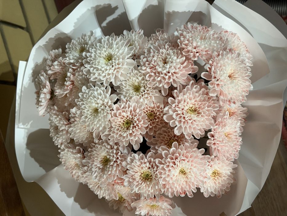 букет розовые хризантемы 4000
