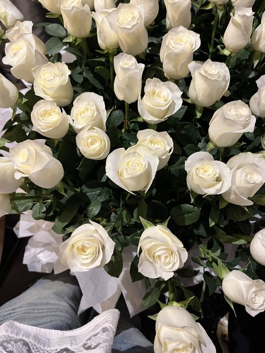 Белые розы 35000