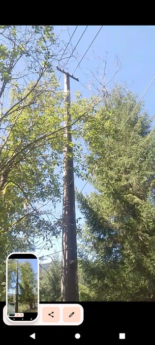 Proprietar vand pământ  extravilan.