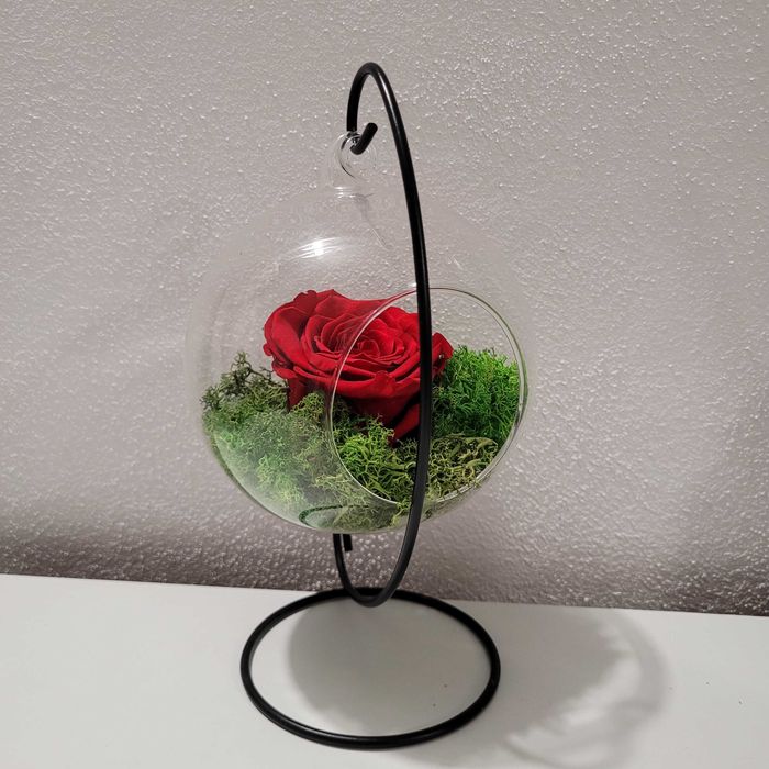 Ornament cu lichieni