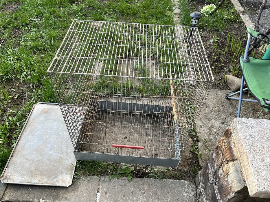 Cusca pentru chinchilla