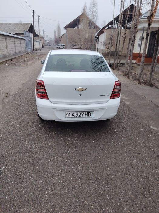 Cobalt yurish turishi zor