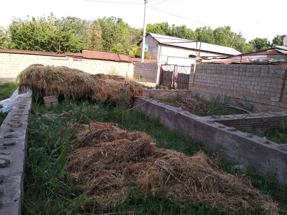 Yer 6 сотих назарбек