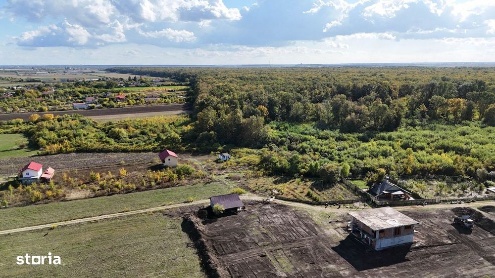 Refugiu la marginea padurii — 2822 mp de liniste in Cocani.