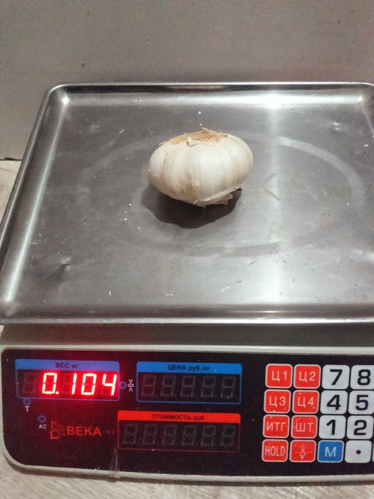 Чесноки  отборние , Сарымсақ