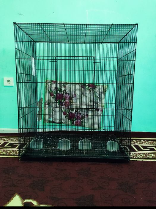 Kletka katta kletka qafas karella Nerazluchkalarga mo'jallangan qafas