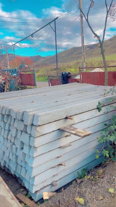 Stalpi/spalieri :capace gard !