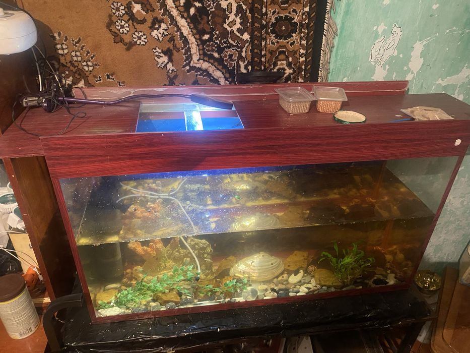 Прдается аквариум с столом