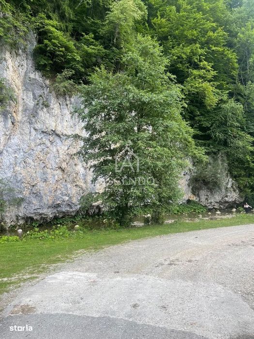Teren Investiție Turistică Dâmbovicioara Baranga | 4.500 mp