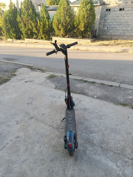 Tribe himba pro самакат