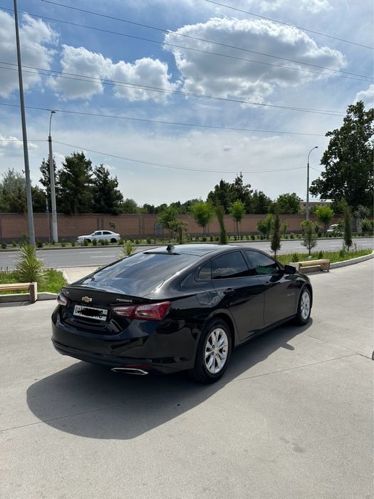 Malibu primer 2021 yil