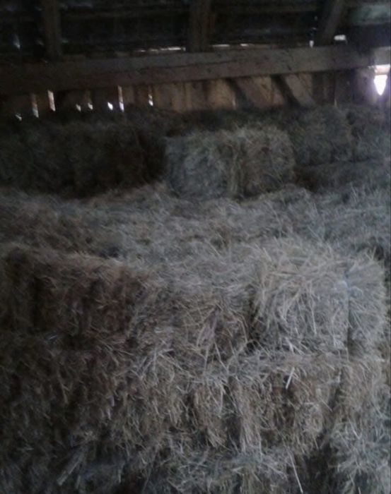 Vand baloti fan / lucerna