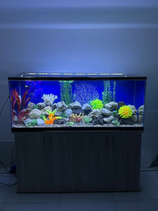 Аквариум Магазин