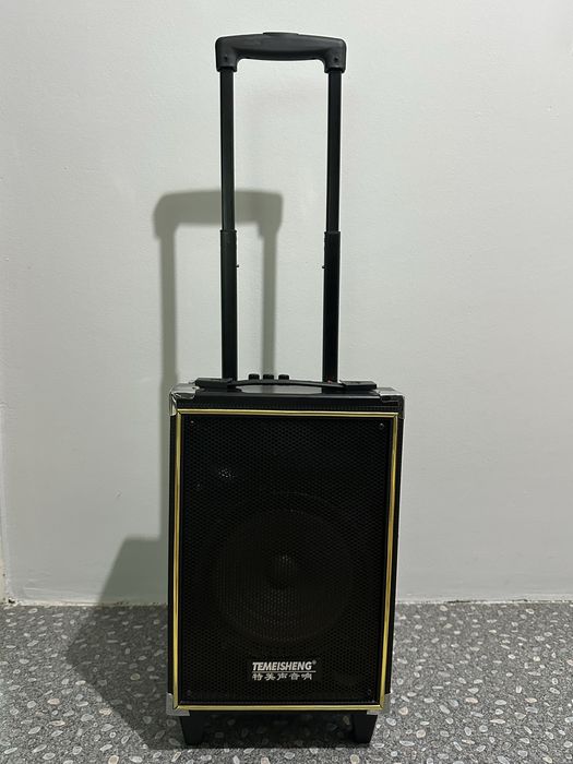 Преносима аудио колонка Temeisheng USB, SD карта