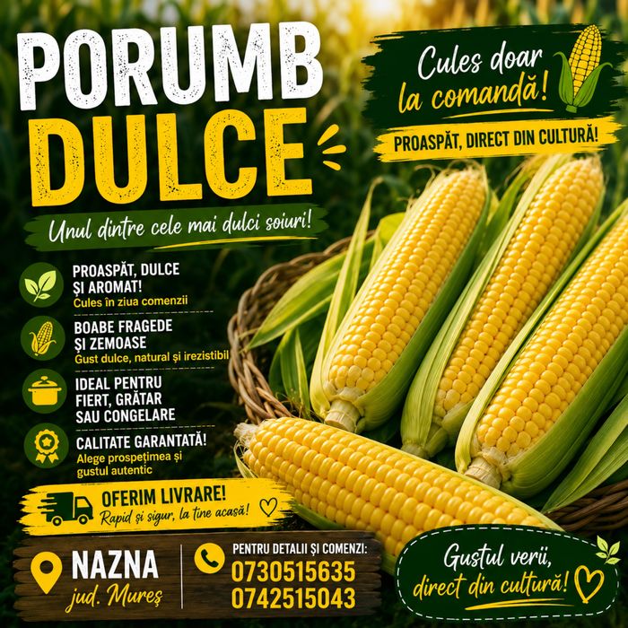 Porumb zaharat pentru fiert