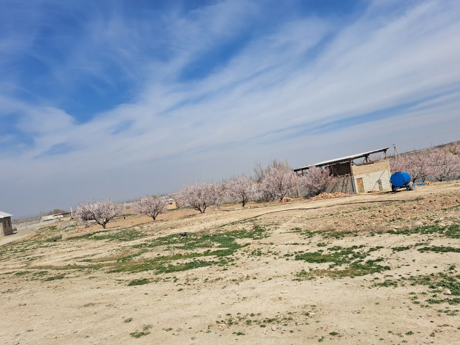 Yer uchastkasi turar joy uchun pasdagi lokatsiya taxminiy