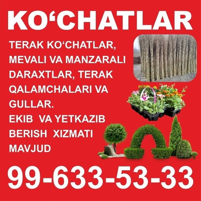 Мевали ва манзарали кучатлар