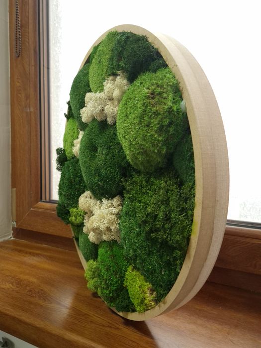 Tablou Rotund din muschi 45 cm