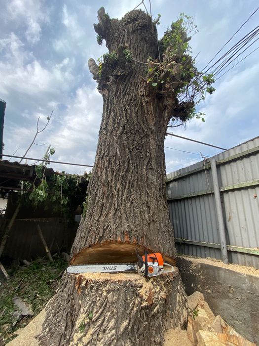 Спил деревьев санитарная обрезка!!!