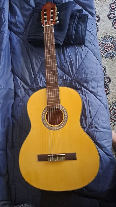 Gitara Toprak muzuk