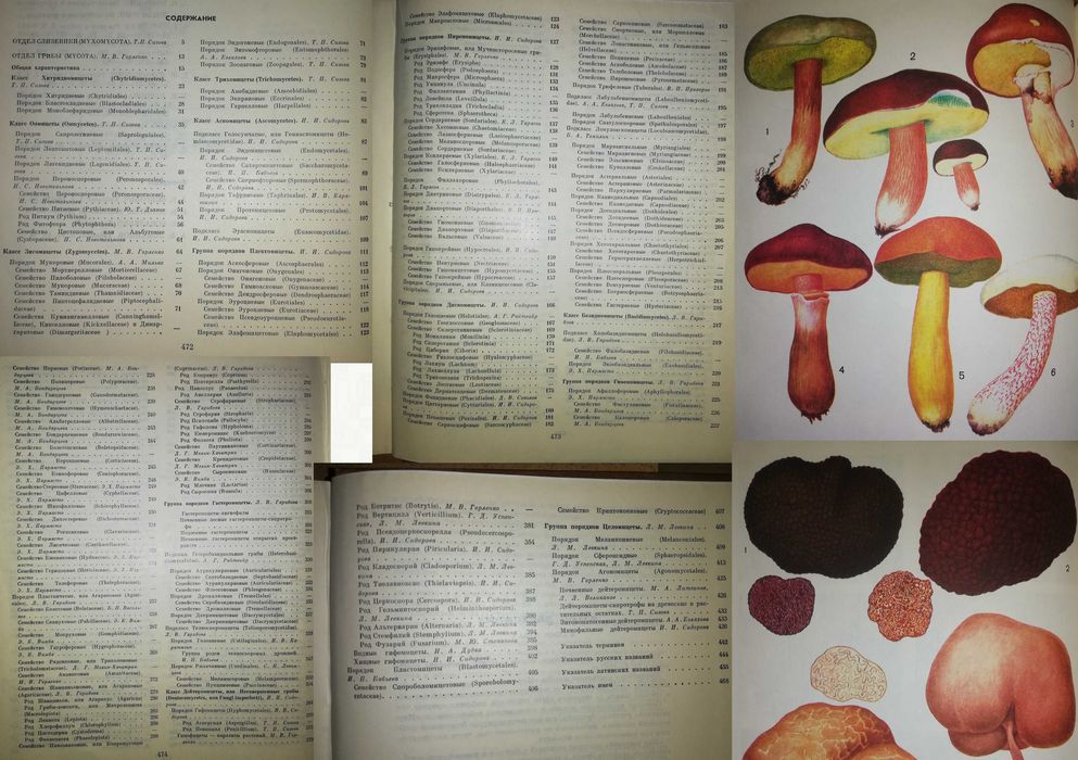 Книги : Грибы, Цветоводство, Ландшафтный дизайн, Садовый участок